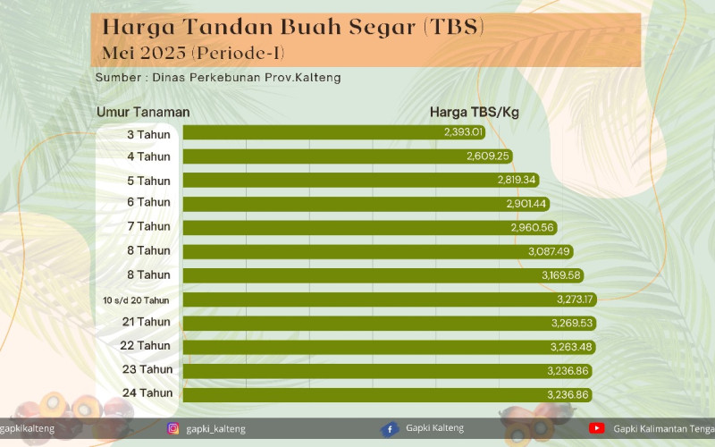 Penyediaan Data dan Informasi